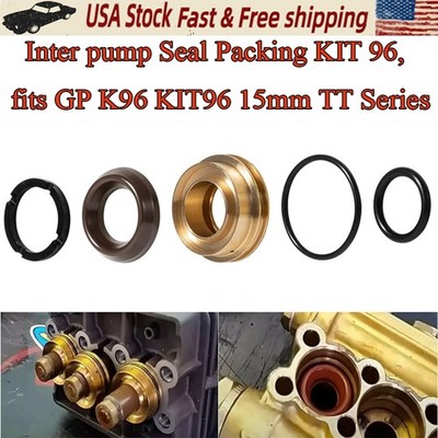 General Pump Interpump Seal Packing Kit 96 for GP K96 KIT96 15mm T W Series TT