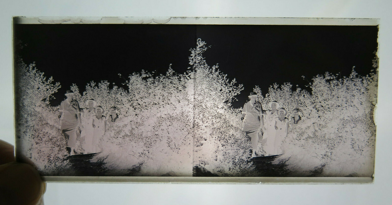 22 Negative Photo On Glass Antique Photography France Years' 30 BM56S11