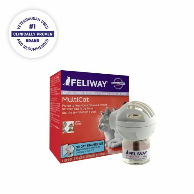 feliway multicat diffuser