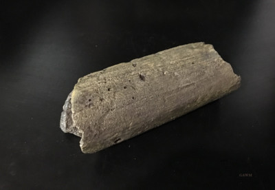 Castelnau Giant Femur Fragment / 11.5 foot giant human replica. Museum Artifact