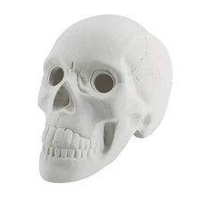 TW HS-W  Ceramic Fireproof Fire Skull Log for Gas or Wood Fireplace Fire Pit 