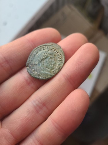 1 Stück Maxence 306 312 Vrb Svae rev Consenv