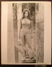 RAQUEL WELCH: (ORIGINAL VINTAGE PHOTOS,SEXY,CANDID,FILMS)