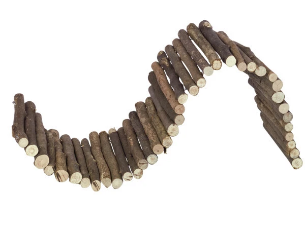 Nobby Nagerbrücke Woodland 72 x 19 cm Kleintierspielzeug