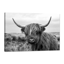 Highland Cow Decor Wall Art for Living Room Black and White Cattle Pictures W...