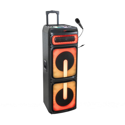 Ibiza Sound STUPDJ1400 ''Special Karaoke'' StandUp Box 2 x 10'' 1400W Lautsprecher 