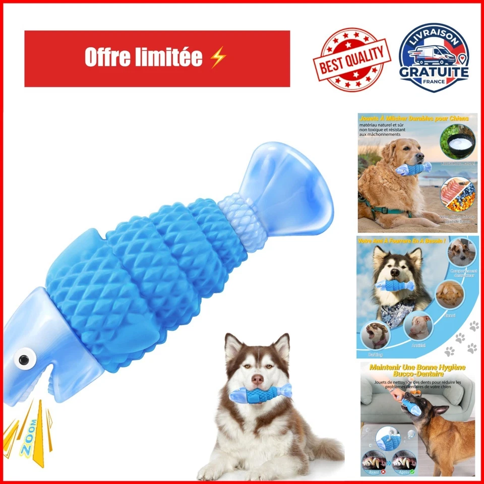 Jouet Chien Indestructible WinTour - Jouet à Mâcher Résistant - Photo 1/4