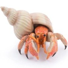 Hermit Crab Figurine - Hand Painted Sea Life & Ocean Toy Figure - Papo 56054