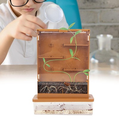 Green Life Science Grow Educational Observe Watch Plant Grow Plant Growing Kits