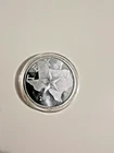 2024 State of Texas  "STEER WRESTLING"  1 Oz .9999 Silver Proof Round in capsule