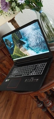 Acer Nitro 5 17,3'' Notebook i7-10750H RTX 2060 Schwarz