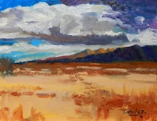 Marsh swamp mountains desert skies Impressionism Landscape Original Oil Painting