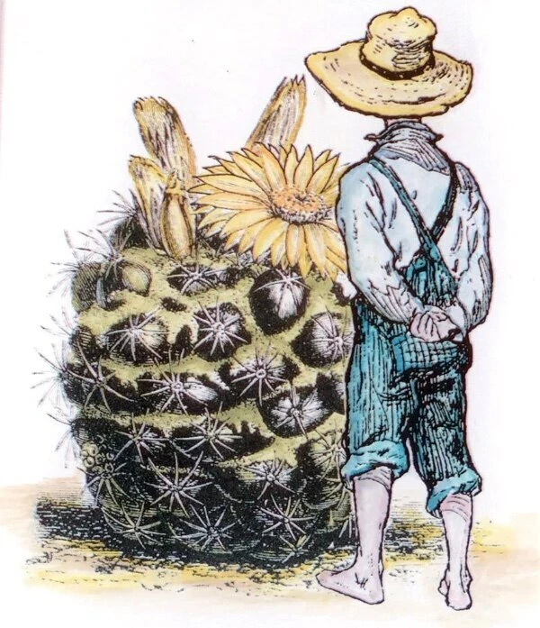 Estampillas de silicona LaBlanche, niño, flor de cactus, estampillas vintage, niño y cactus Foto 2 de 3