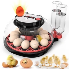 Incubators for Hatching Eggs,12 Egg Incubator with Automatic Turning and... 
