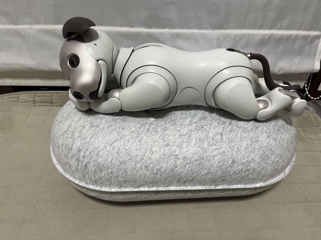 SONY aibo ERS-1000 ジャンク品 SONY Aibo ERS-1000 Junk Pet Robot Japan JP | eBay