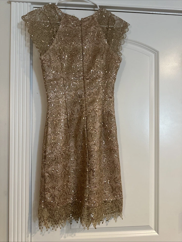 Años 20 Vestidos Aleta Gran Vestido Gatsby Vintage Noche Fiesta Lentejuelas Baile de graduación Vestido Foto 2 de 2