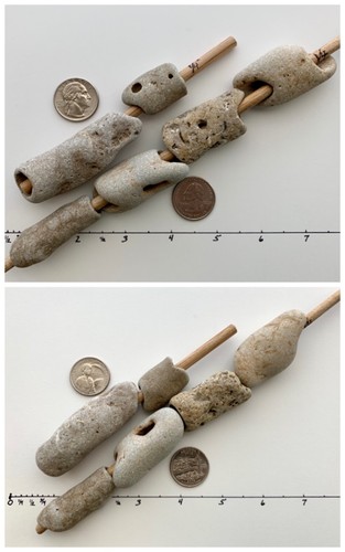 6 Natural Holey Beach 1/4” Hole Long Tube Rocks Hag Stones Adder Fairy Mystic #X