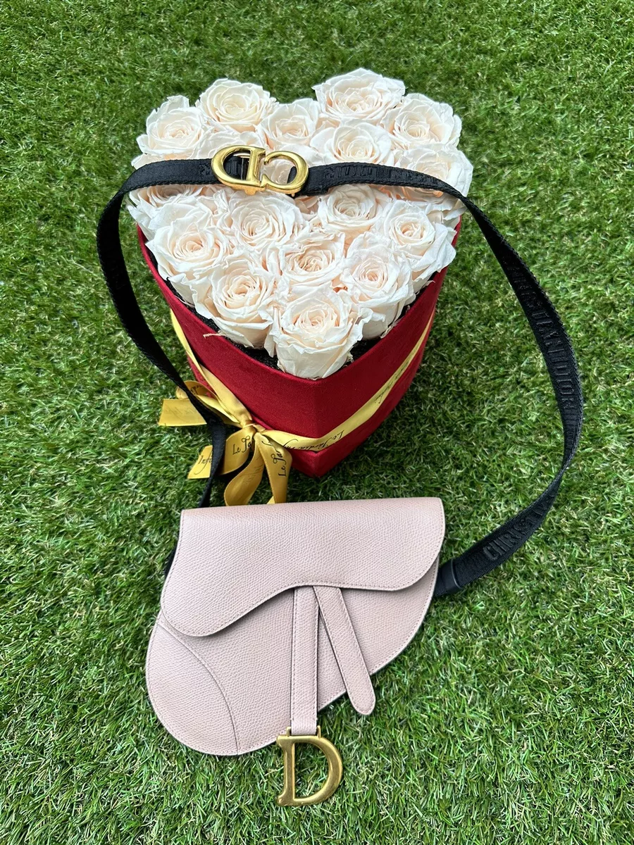 Dior Saddle Belt Pouch Waist Blush Beige Poudre Pink Belt Bag Gold