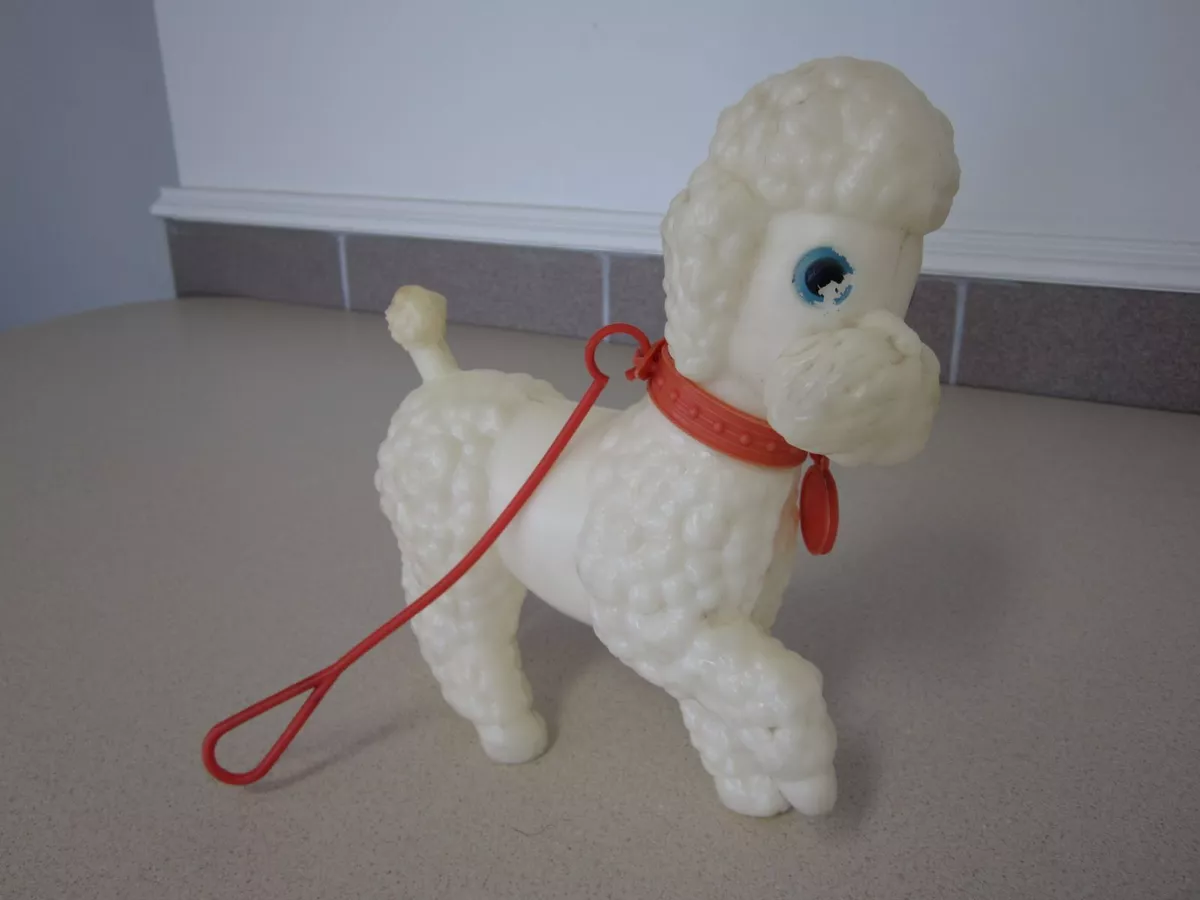 Russian toy poodle 2025