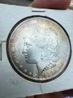 1886 Morgan Dollar Toner Silver gem Ms