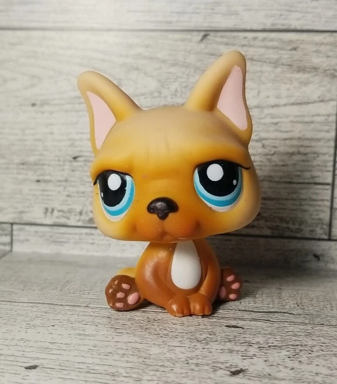 Littlest Pet Shop 1847 Brown French Bulldog with Blue Eyes LPS eBay