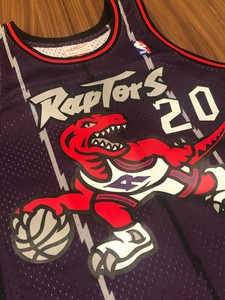 toronto raptors 95 jersey