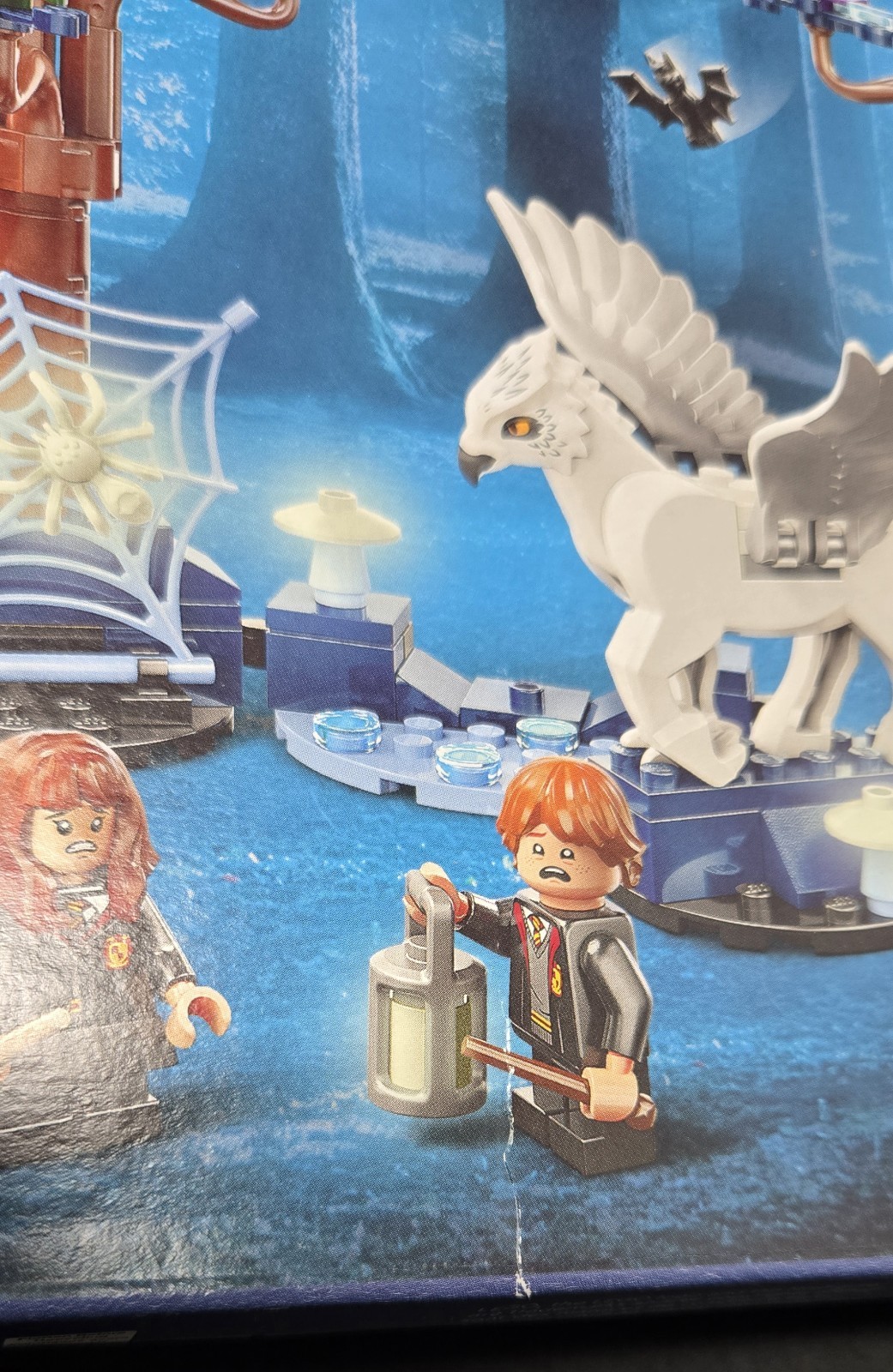 Picture 6 of 18