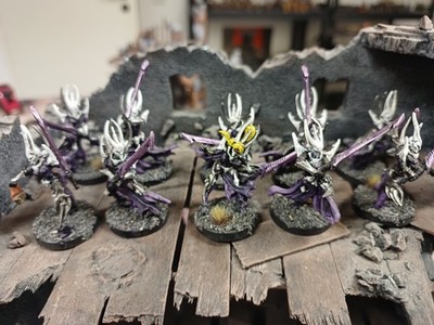 Raging Heroes Incubi Proxy Modelle 10 STK Bemalt Figuren Warhammer 40K