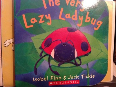 The Very Lazy Ladybug - Jack Tickle|Isobel Finn - Very Good - See condition ...