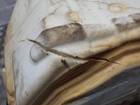 Bild 7 von 12