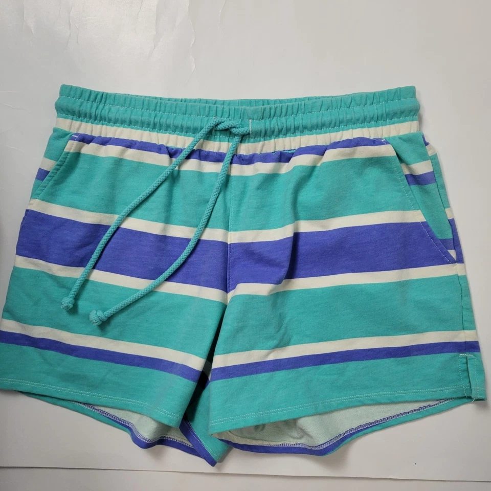 Wildfox女式S码蓝色条纹运动休闲短裤 — 第 4/4 张图片