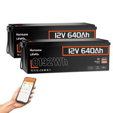 2 PACK 12V 640Ah 24V Lithium LiFePO4 Battery 250A BMS Bluetooth 8192Wh Solar RVs