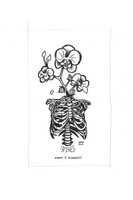 Adam Schooley | Spines | Taschenbuch | Englisch (2016) | Kartoniert / Broschiert