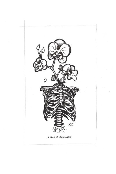 Adam Schooley | Spines | Taschenbuch | Englisch (2016) | Kartoniert / Broschiert-image