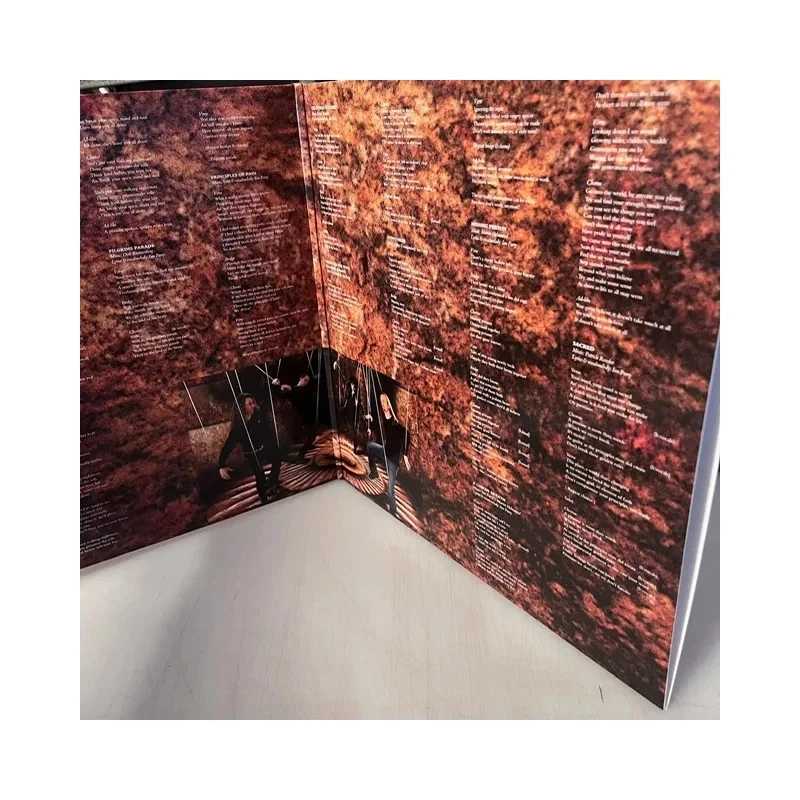 ELEGY - Principles of Pain (LIM. 400 BLACK DLP*HAND NUMBERED*DUTCH PROG/POWER ME - Immagine 3 di 3