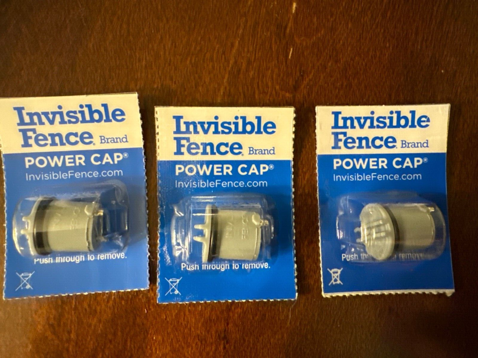Lot of 3 2019 Invisible Fence New Power Cap Batteries for R21/R22/R51 ...