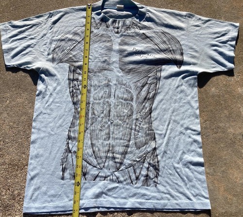 Vintage 1977 Leslie Arwin Muscle Anatomy T-Shirt Mens X-Large - Picture 12 of 19