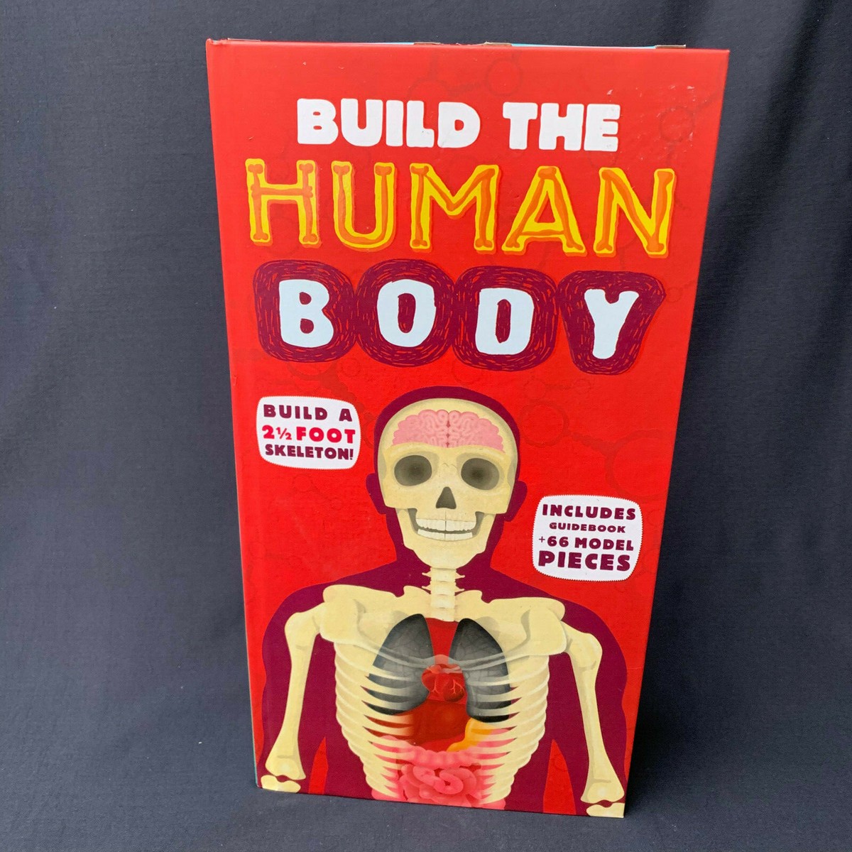 洋書 THE COMPLETE HUMAN BODY 2nd Edition The Complete Human Body, 2nd Edition: The Definitive Visual