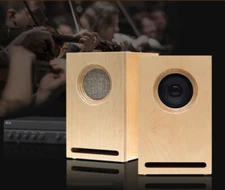 Arche Audio FR2 Semi-Horn-Loaded Speaker