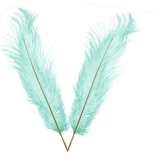 5-10pcs Large Ostrich Feathers 35cm-40cm Plume Craft Wedding Party Decorations - Picture 55 of 95