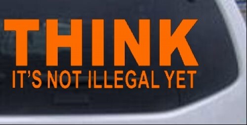 Calcomanía para ventana Think Its Not Ilegal Pero Divertido Coche Camión Política 10X3,7 - Imagen 15 de 32