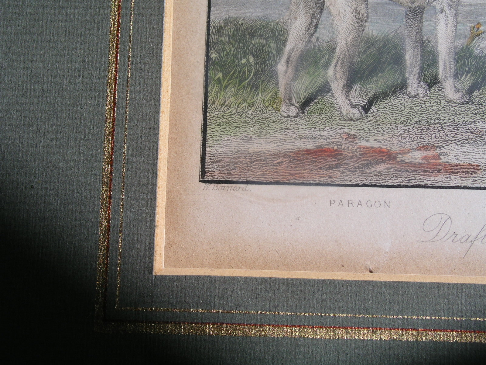 Picture 12 of 12