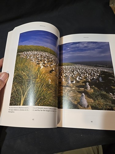 Albatrosses Terence Lindsey Australian Natural History Series - Picture 12 of 12