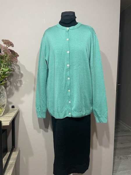 Women Peter Hahn Sweater Turquoise Wool 44 / XXL / #C95T