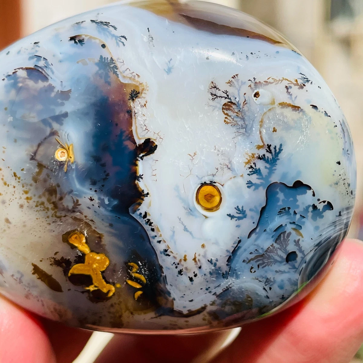 Blue dendritic agate deals