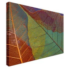 Silhouette Leaf  Canvas Wall Art Picture Print