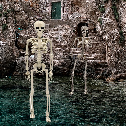 Halloween Human Skeleton Decoration Party Prop GT - Picture 12 of 15