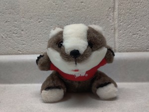 badger teddy bear