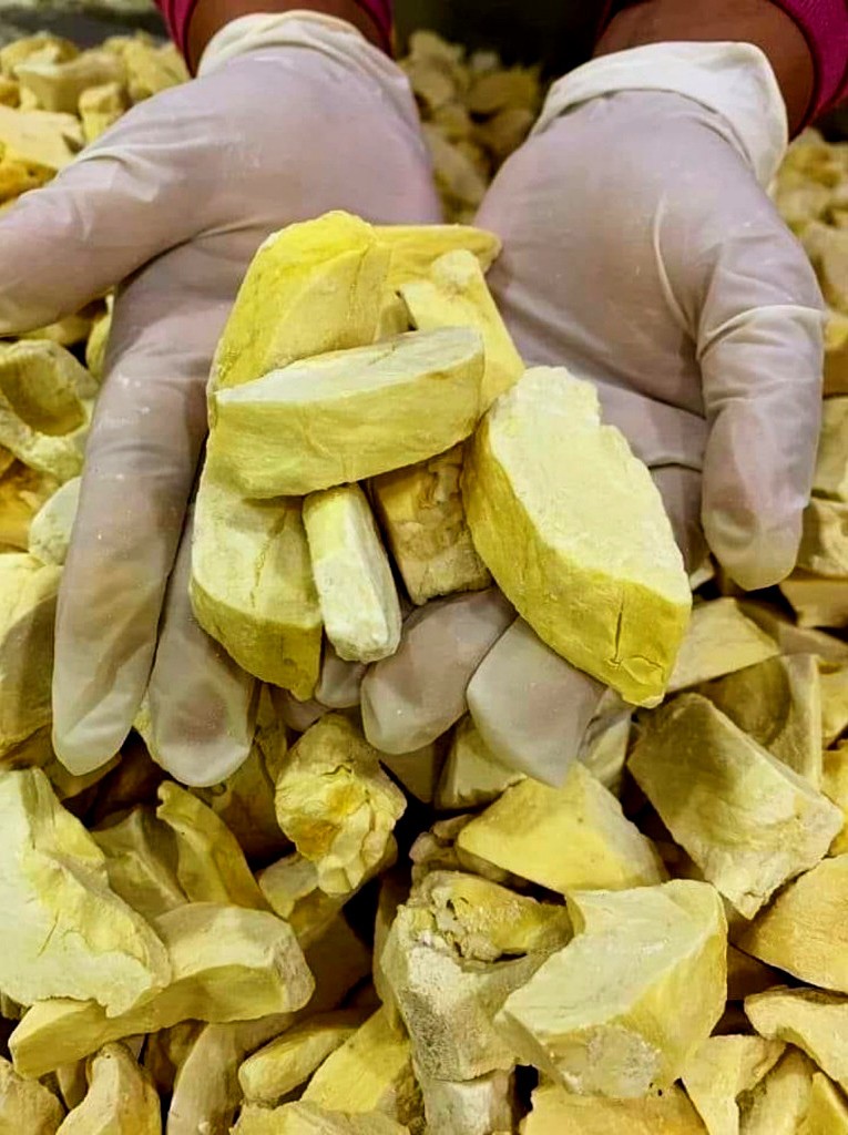 Freeze Dried Monthong Durian Thai King Fruit Snack 100% Natural Crispy Chips Eat