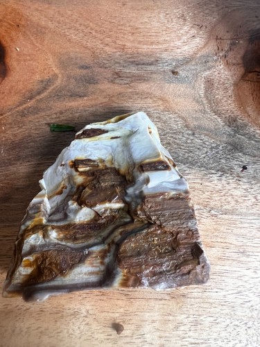 versteinertes Holz opalisiert Achatisiert 4 Stück Roh Dekor Sammlung Rot Weiß 1lb 10oz - Bild 8 von 9